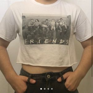 Vintage Friends crop top